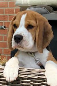 ElGoMa_Mabel ElGoMa_Mabel